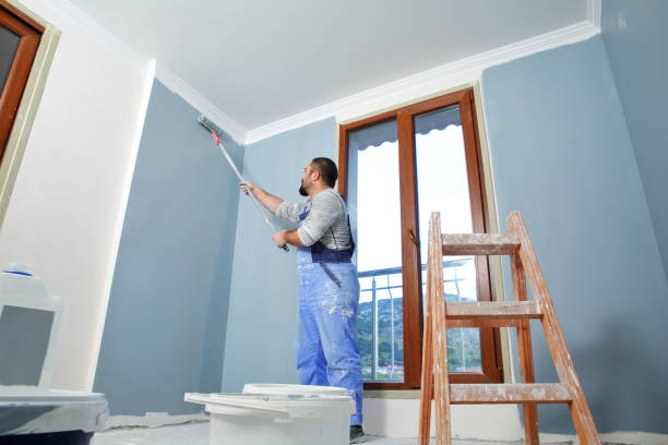 Best Drywall Patching  in Carrabelle, FL